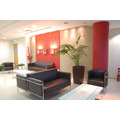 Clinica ORL Yannis Constantinis - poza