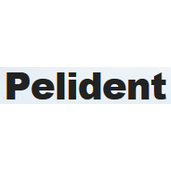 Pelident Iuliu Maniu 