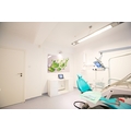 Smile Experts - poza