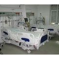 Spitalul Clinic de Boli Infectioase si Pneumofiziologie Dr. Victor Babes Timisoara - poza