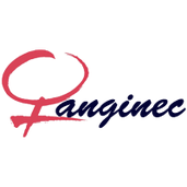  Anginec 
