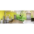 Opticristal - Clinica de Chirurgie Oftalmologica - poza