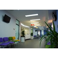 Clinica Sfanta Maria Delfinului ( Anima ) - poza
