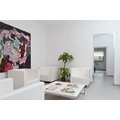 Vox Dental Care - poza