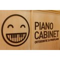 Piano Cabinet - poza